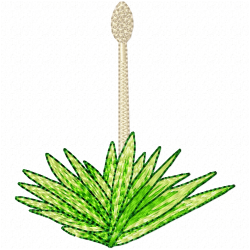 Flowers And Tree Embroidery Design 7 Flowers And Tree Embroidery Design 7